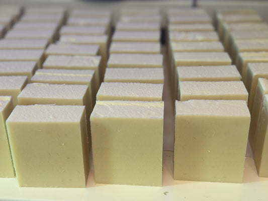 Bulk Order / Wholesale