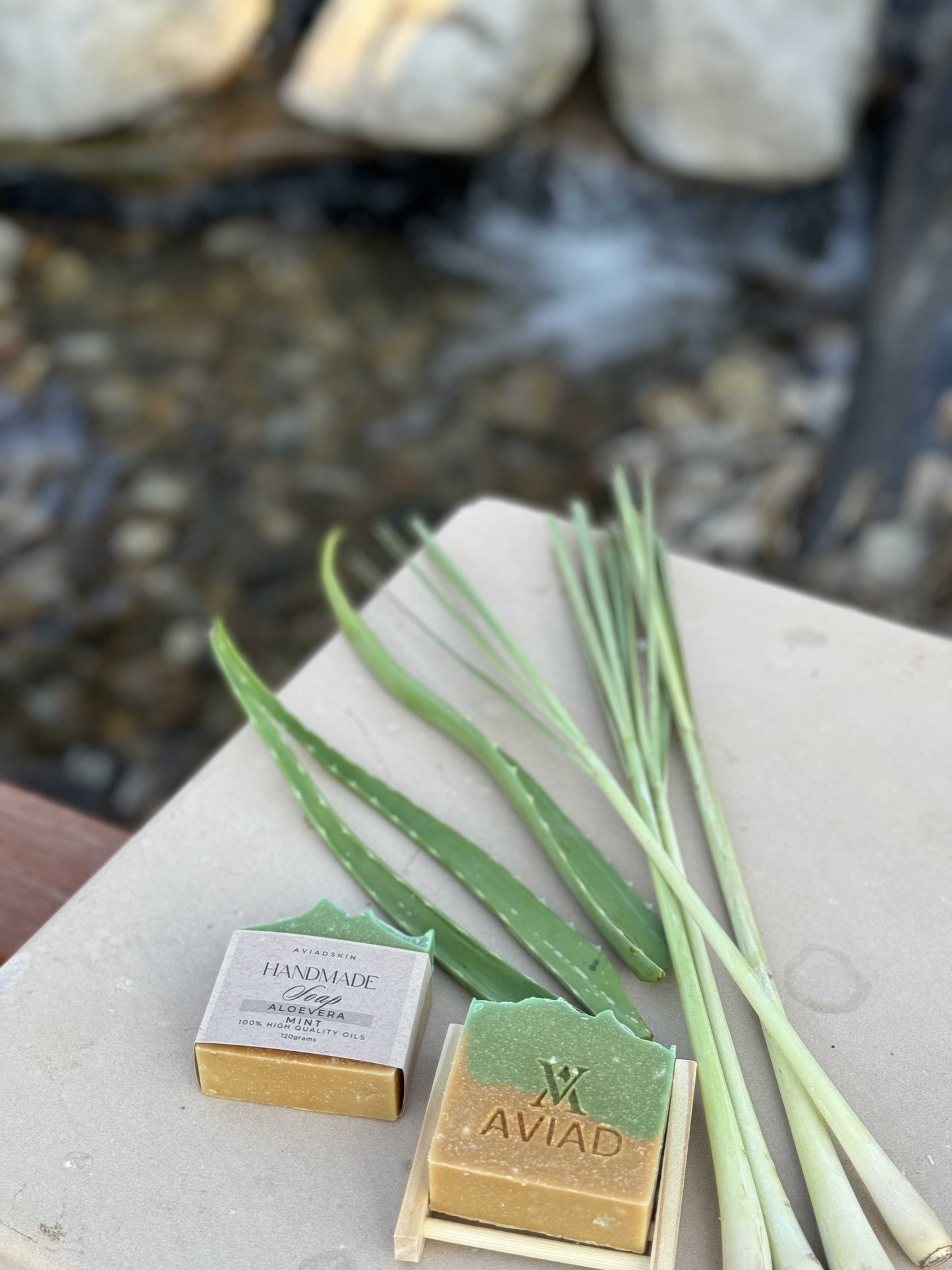 Aloevera Mint Soap