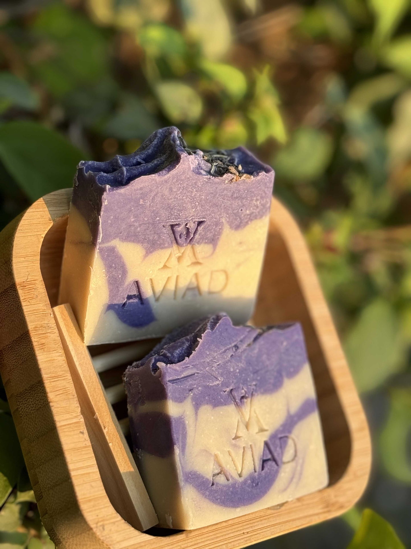 Coco Lavender Soap